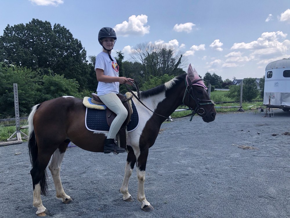 20/20 Horsemanship