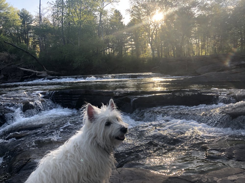 The Kaaterskill