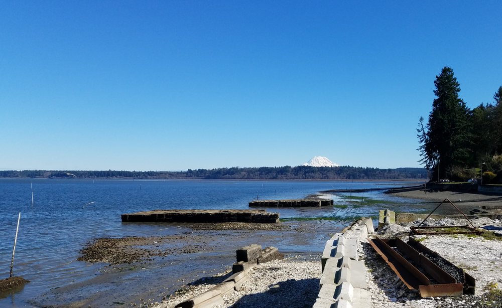 National Fish & Oyster Company