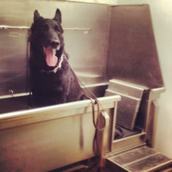 slettede meldinger doggy stilling slettede meldinger doggy stilling