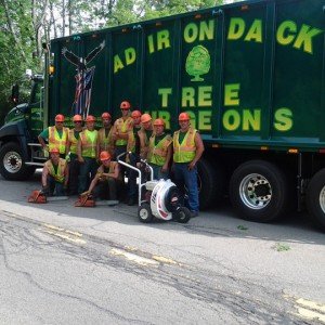 Adirondack Tree Surgeons