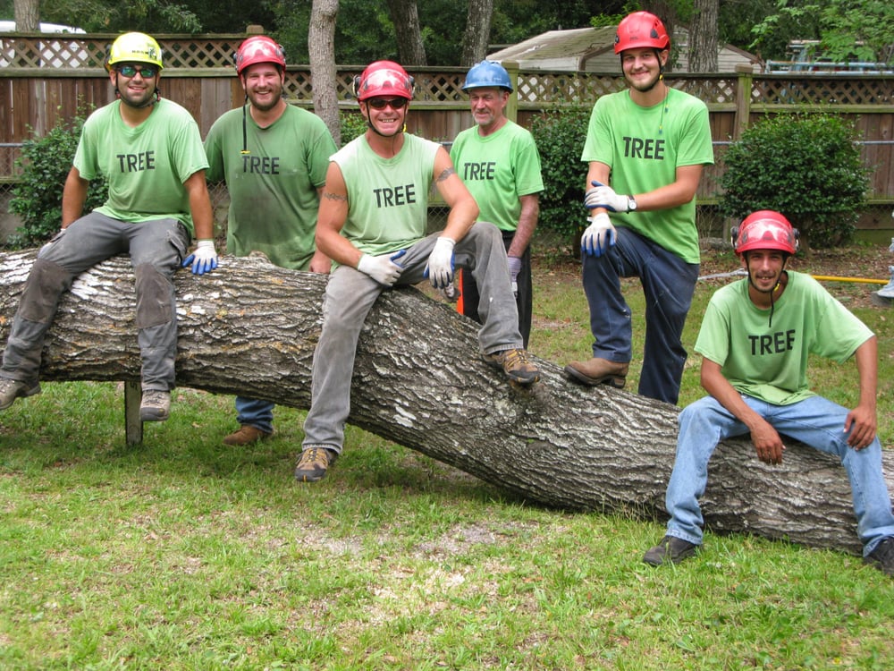 Tree Service Fort Walton Beach Tree Service Fort Walton Beach