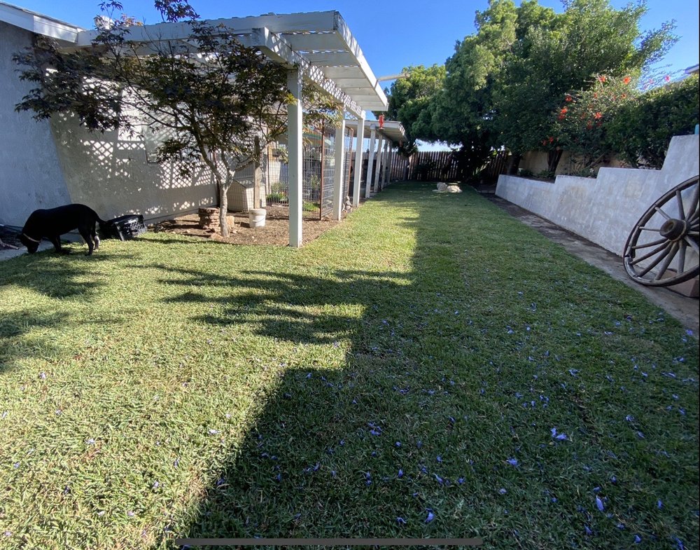 H & R Gardening and Landscaping