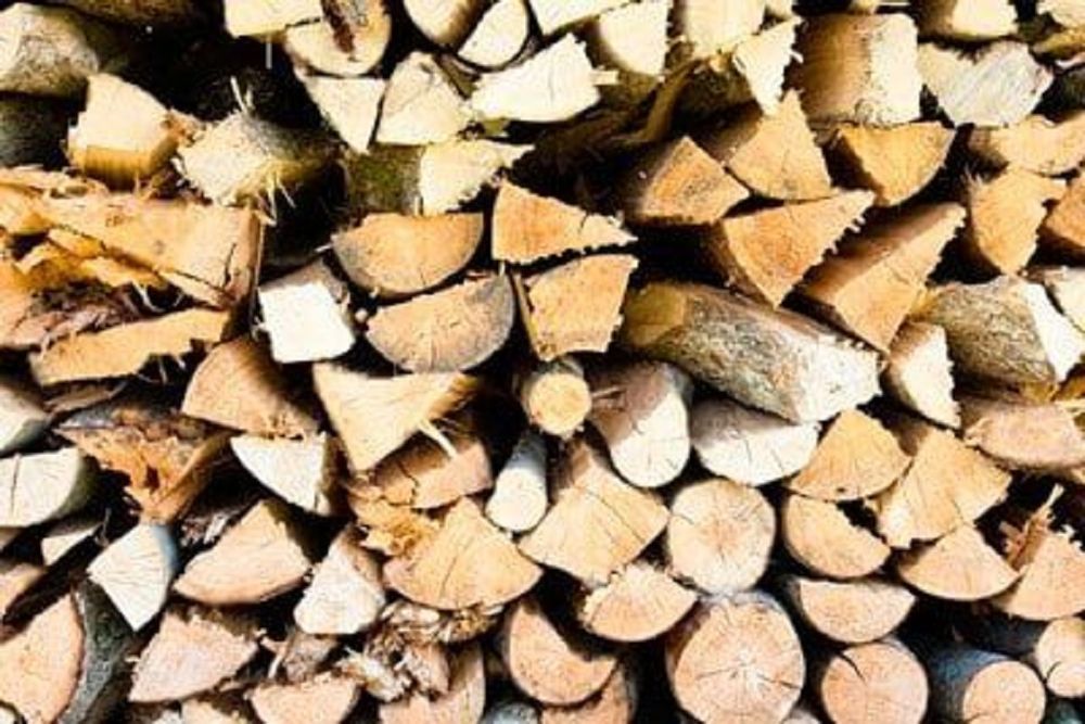 Rocky's Tree Service