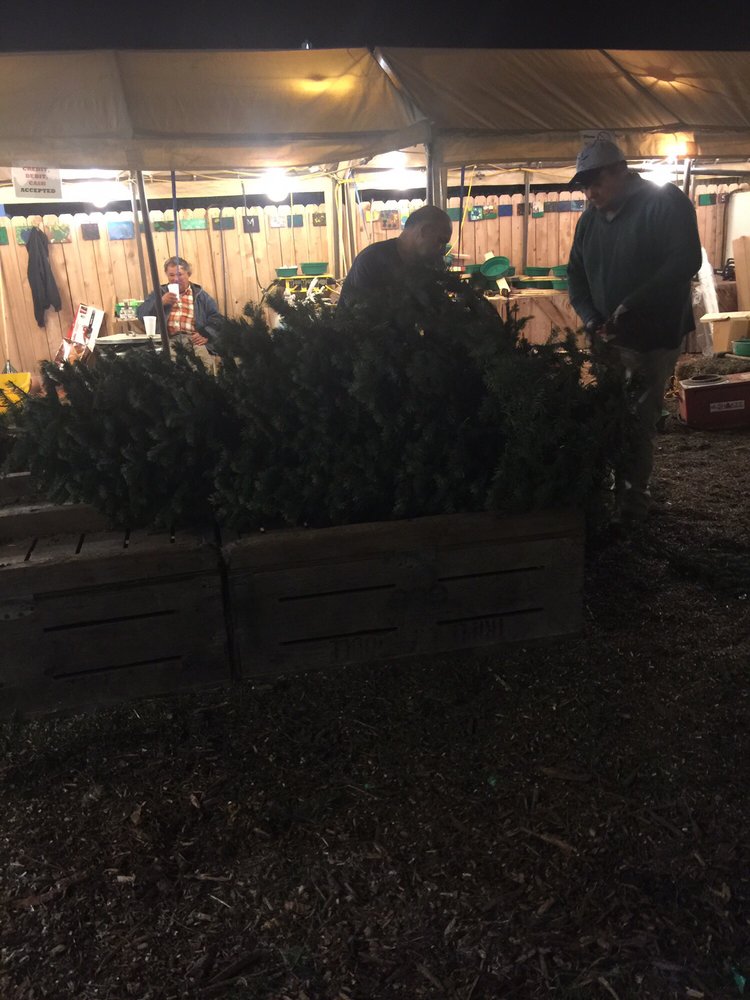 territo s christmas trees 11 reviews christmas trees territo s christmas trees 11 reviews christmas trees