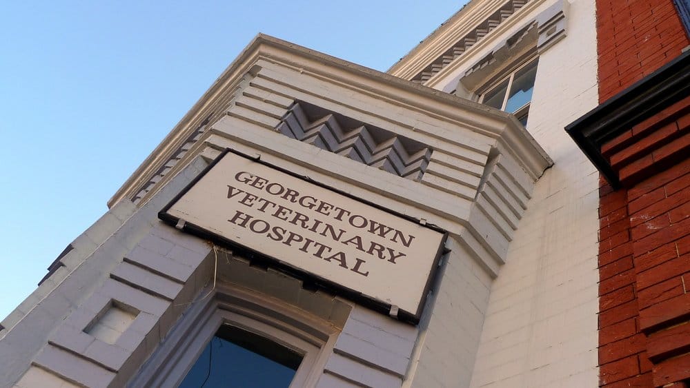 Veterinary Hospital 27 Reviews Veterinarians 2916 M St