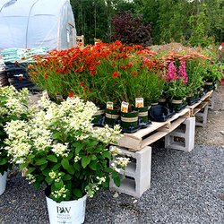 Aaron Preston S Landscape Service And Garden Center 13 Photos Photo Of Aaron Preston S Landscape Service And Garden Center Ontario Ny United States