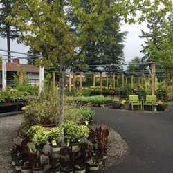 Nursery Vancouver Wa Thenurseries Shorty S Garden Center 12 Photos 21 Reviews Nurseries