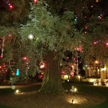 Christmas Tree Lane - CLOSED - 46 Photos & 13 Reviews - Christmas Photo of Christmas Tree Lane - San Marino, CA, United States. Lovely redwood - Christmas Tree Lane - CLOSED - 46 Photos & 13 Reviews - Christmas