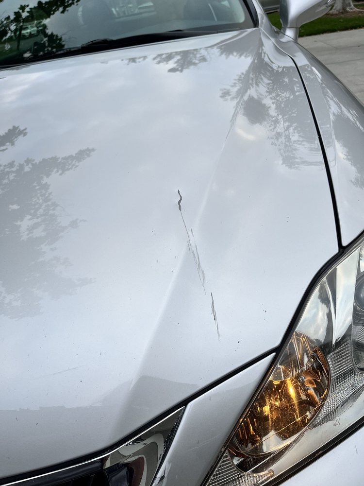 Phi's Auto Body & Repair