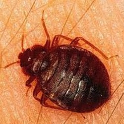 Photo of Spectrum Pest Control - Murrysville, PA, United States ... Pest Control Murrysville Pest Control Murrysville Photo of Spectrum Pest Control - Murrysville, PA, United States ...