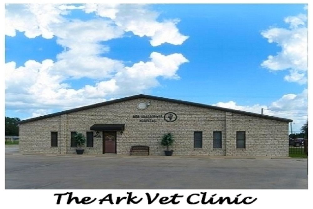 The Ark Veterinary Clinic Ark Veterinary Hospital Gift Card