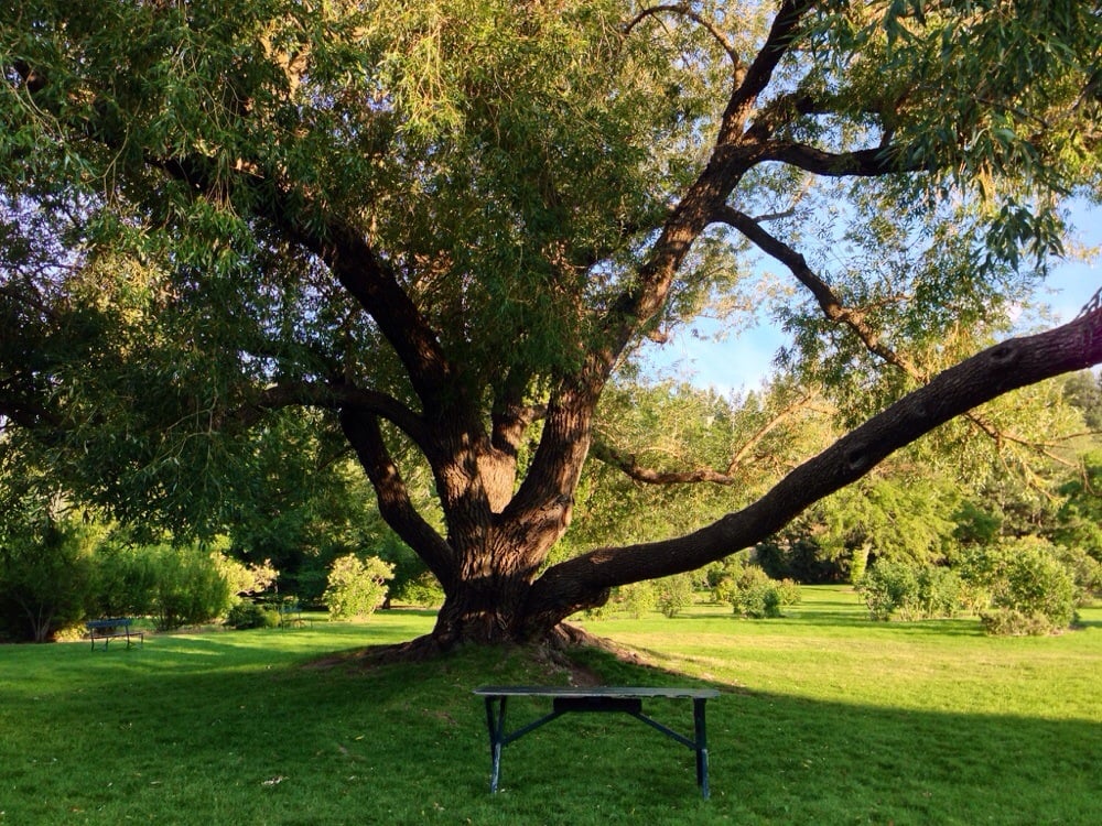 John A Finch Arboretum Parks 3404 W Woodland Blvd, Spokane, WA Yelp