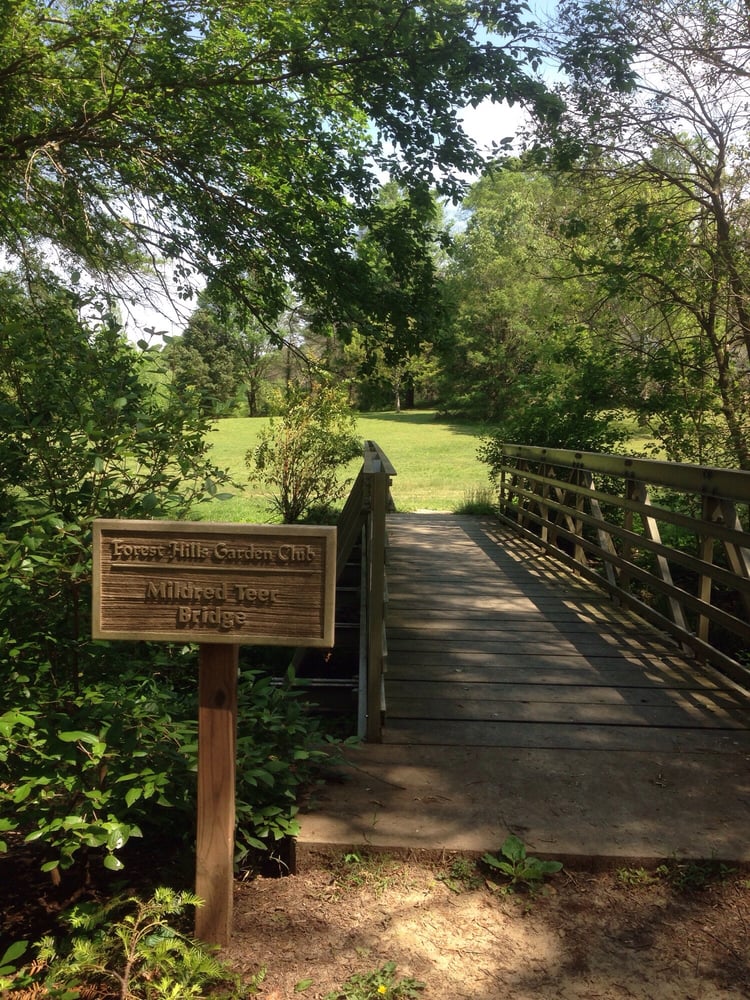 Singles in forest hills nc