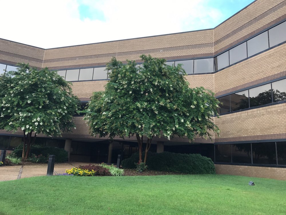 Pariser Dermatology Specialists 10 Reviews Dermatologists 6160