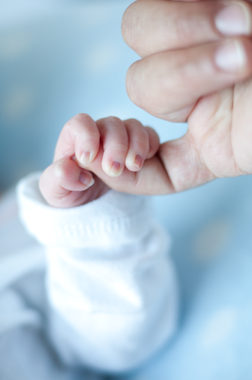 Deer Baby Photography