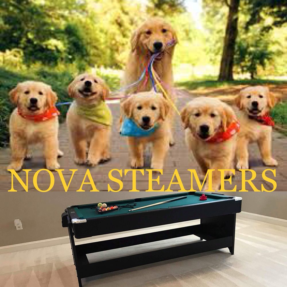 NOVA STEAMERS