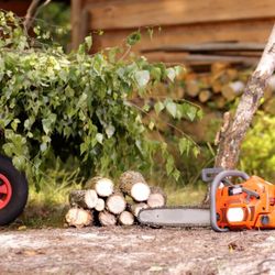 cartwright tree care 19