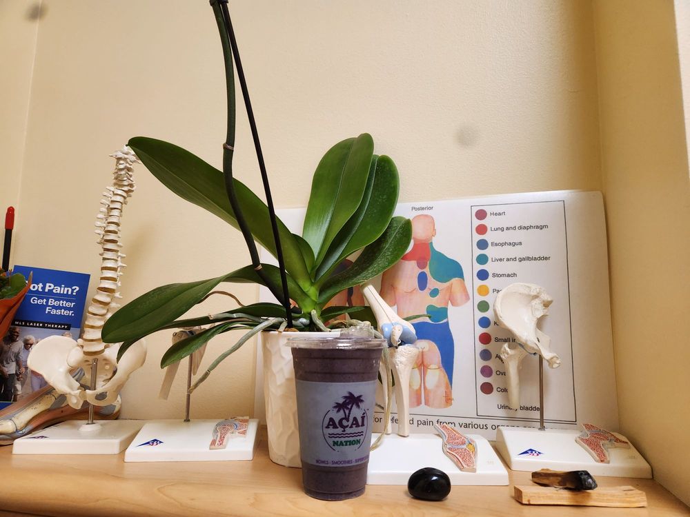 Acai Nation