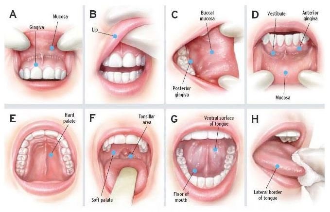 image of business Joseph R Hendrick, DDS