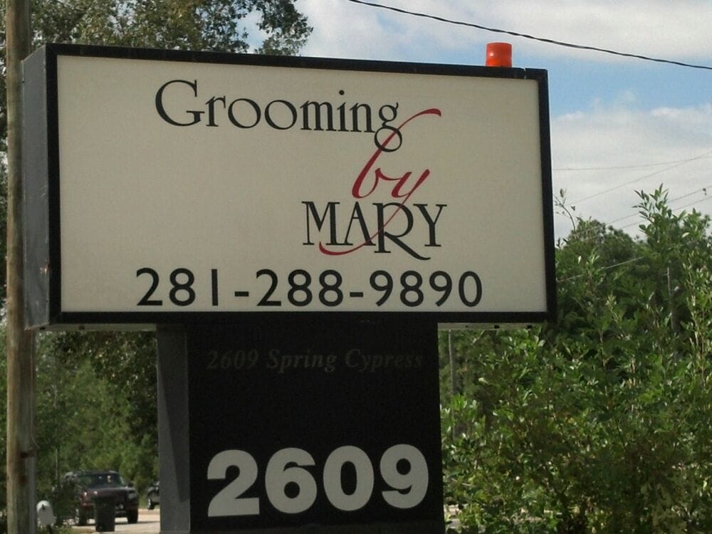 Grooming By Mary 11 Reviews Pet Groomers 4025 Spring Cypress Rd