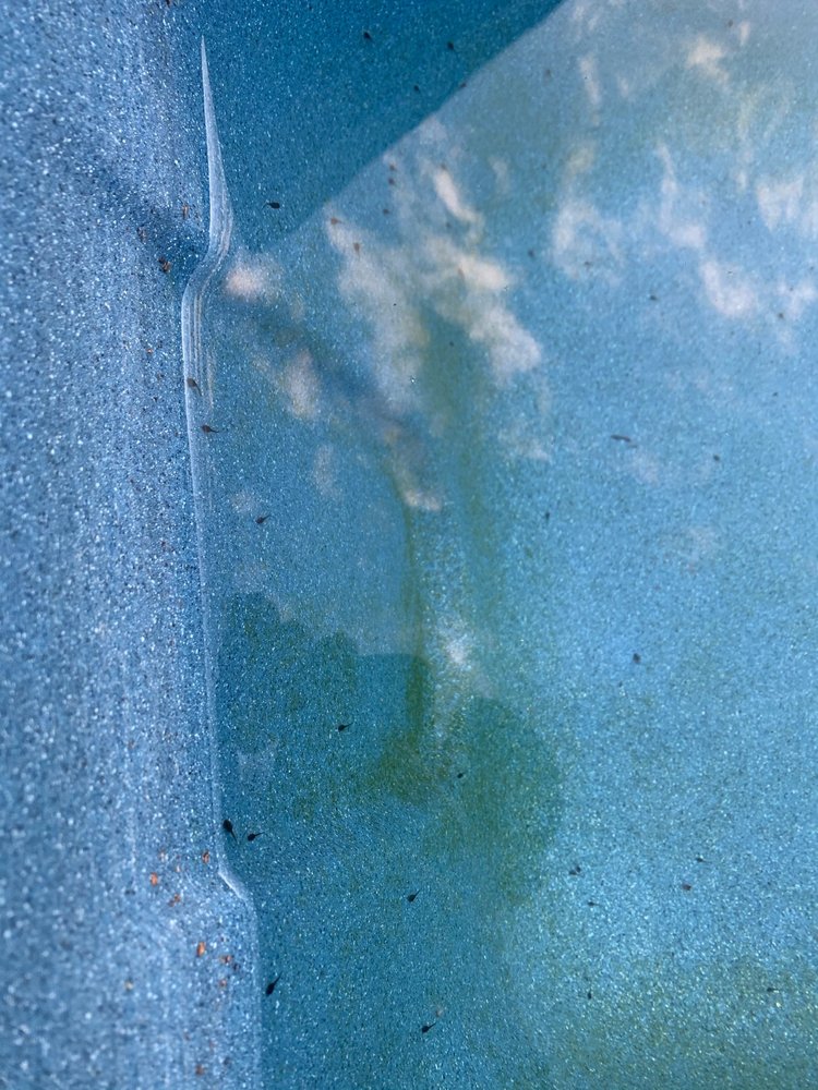 Turtle tracks pools