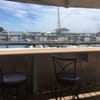 Dockside Dogs