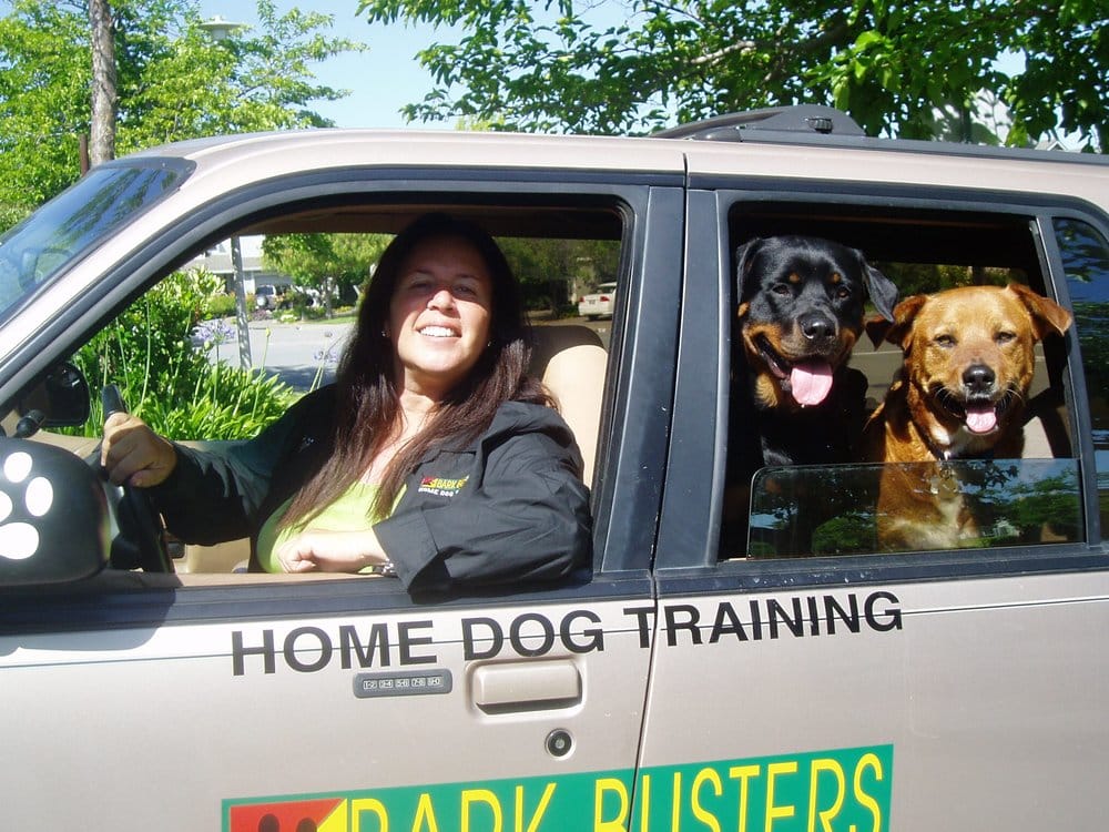 Dog Training Marin County Ca Dog Training Marin County Ca