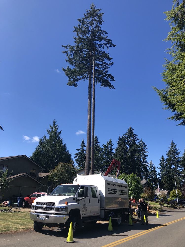 Northwest Tree Service