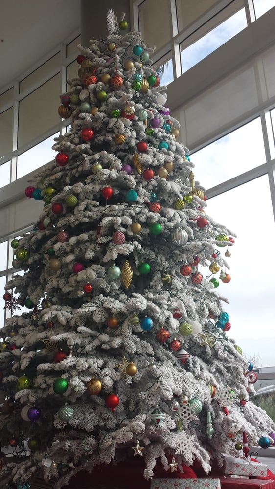 christmas tree o christmas tree o how are thou lovely christmas tree o christmas tree o how are thou lovely