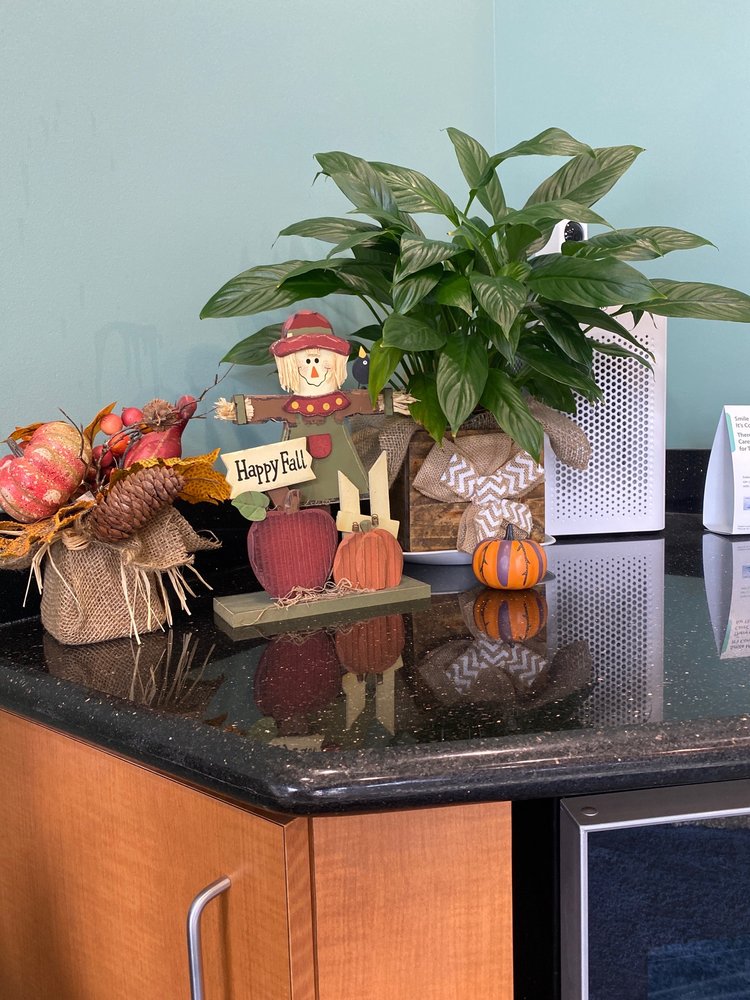 image of business Cypress Creek Dental