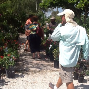 Riverland Nursery Nurseries Gardening 13005 Palm Beach Blvd Photo Of Riverland Nursery Fort Myers Fl United States People Knowledgeable To