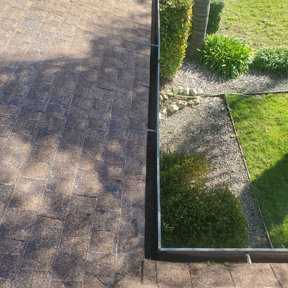 Wheelers Window Cleaning