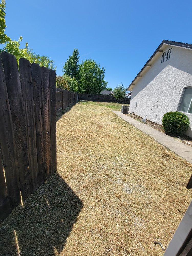 JP Lawn Care