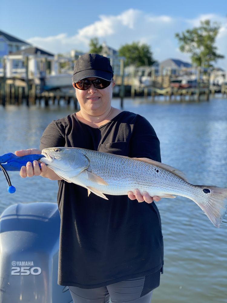 Cape Crusader Charters