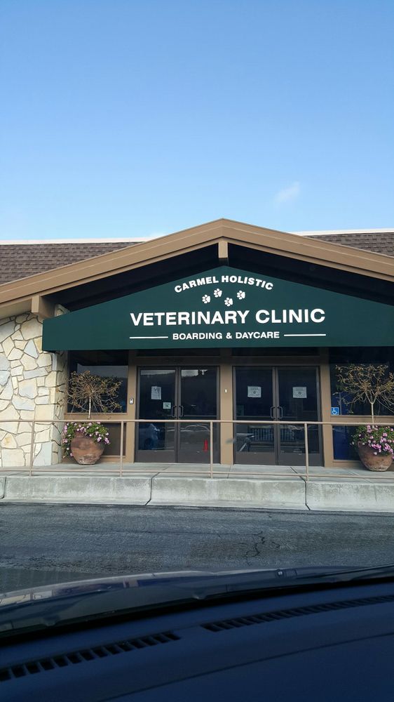 Carmel Holistic Veterinary Clinic 31 Reviews Veterinarians 26340