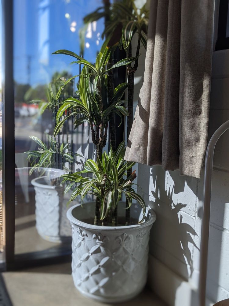 Oasis Natural Cleaning