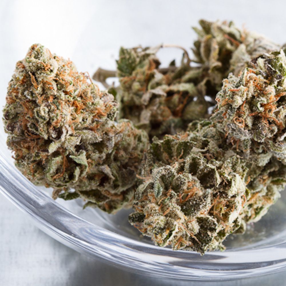 Jingletown Cannabis Club 31 Photos Cannabis Dispensaries East