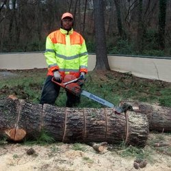 tree service winston salem nc photo of geddies tree service winstonsalem nc united states services 5335 robinhood village dr tree service winston salem nc photo of geddies tree service winstonsalem nc united states services 5335 robinhood village dr