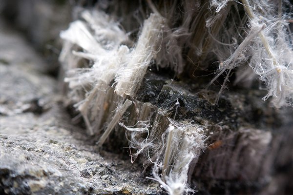 image of business Quantum Restoration Services
