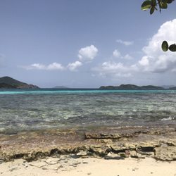 Shire Beach 66 Photos 28 Reviews Beaches 6345 Smith Bay Photo Of Shire Beach St Thomas Virgin Islands U S