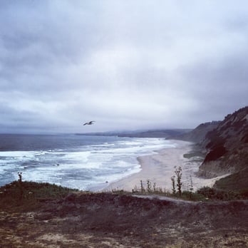 San Gregorio State Beach 219 Photos 71 Reviews Beaches La Photo Of San Gregorio State Beach Ca United States The
