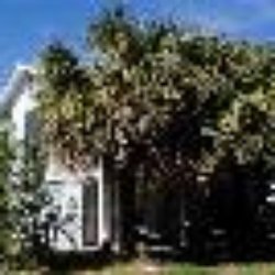 My Beach House Vacation Als Al Agents 116 Photo Of My Beach House Vacation Als Tybee Island Ga United States