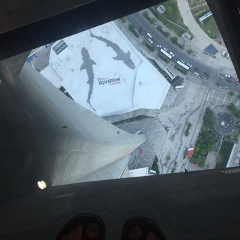 Cn Tower 2258 Photos 662 Reviews Landmarks Historical