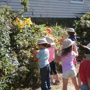 Lowell Day Nursery Child Care 119 Hall St Ma Pumpkin Patch Preschool