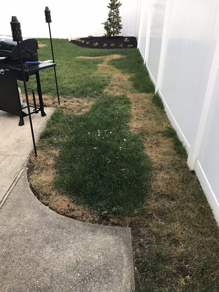 Emerald Magic Lawn Care