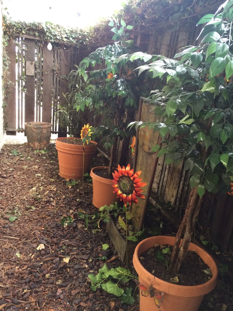 image of business Theresa Asbury-Falo, DDS