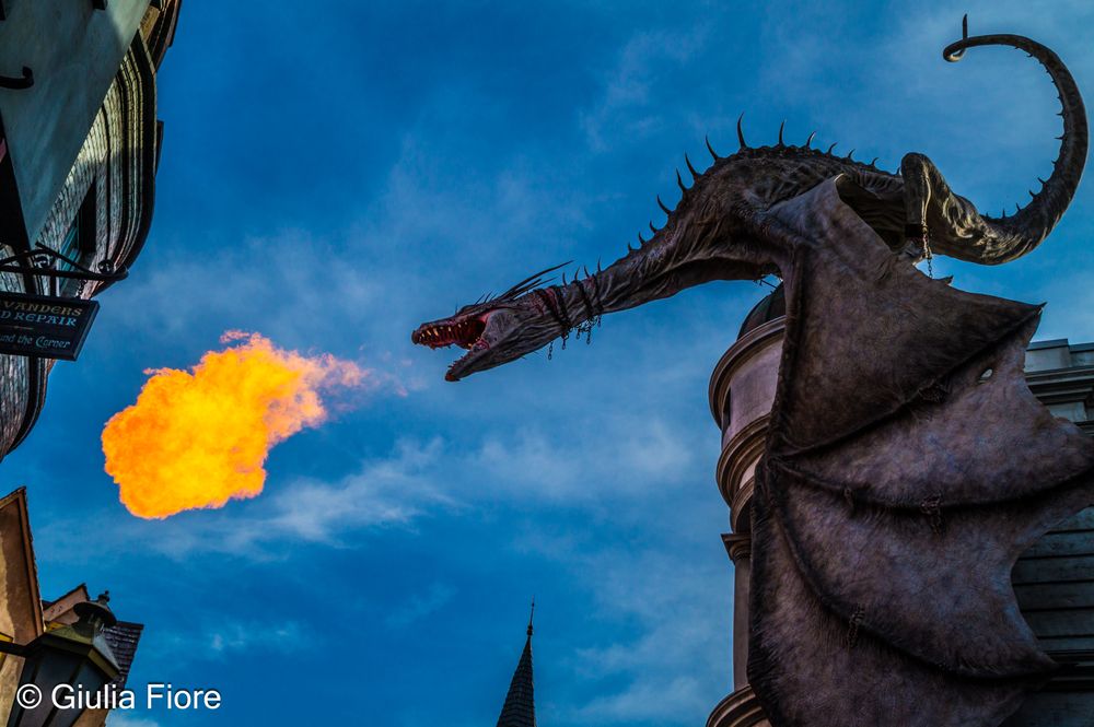 Giulia Fiore Photography