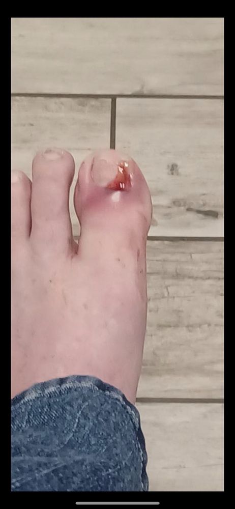 image of business My Dr Now