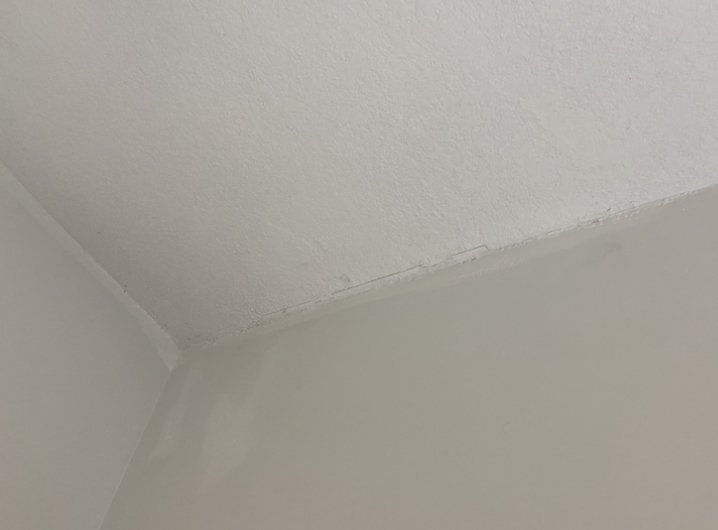 image of business Taylors home improvements